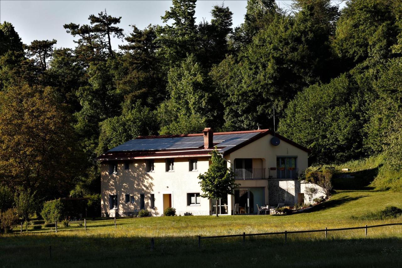 Guesthouse Idila Pod Nanosom Senozece Exterior photo